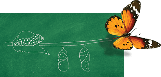 About Next Education
